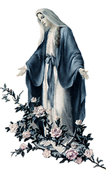 With Mary Immaculate, Mother of God in the Rose Garden