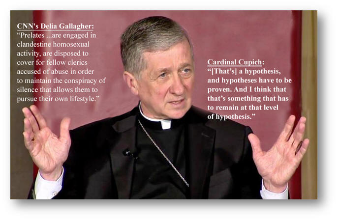 Cardinal Blaise Cupich attempting to refute the irrefutable point that homosexuals are responsible for the homosexual sexual abuse in the Church