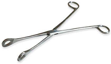 Abortionist's Forceps to Dismember baby