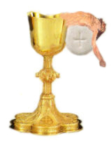 The Holy Eucharist the Body and Blood of our Savior Jesus Christ