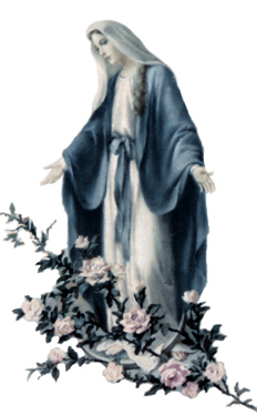 Mary, Conceived without Sin, Pray for us who have Recourse to Thee
