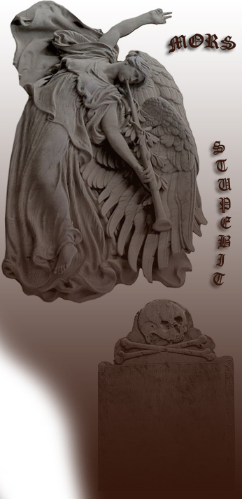 Mors Stupebit - Death has Struck