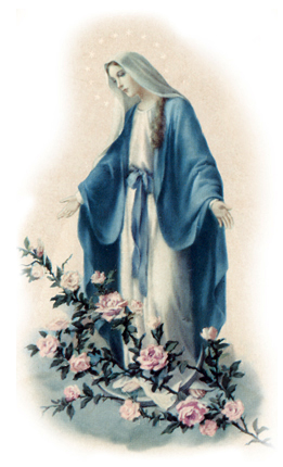 Mary Most Holy, Mother of God